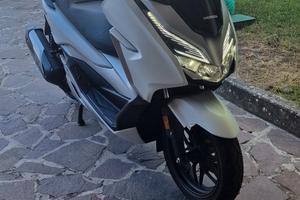 Scooter Honda Forza  300 2019 Nuovo km 1161