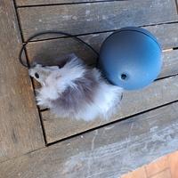 Giochino per gatto,topo