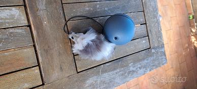 Giochino per gatto,topo