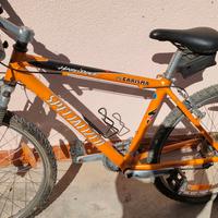 Mountain bike donna Specialized