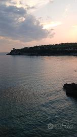 Agosto e settembre a marina di camerota