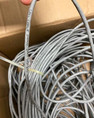 Cavo di Rete Ethernet UTP Cat 5e circa 70m