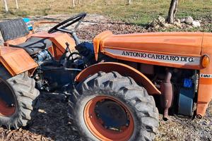 Trattore carraro 625 Pavana