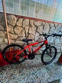 Bicicletta