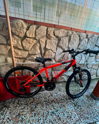 Bicicletta