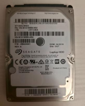 Seagate 1TB da 2,5 pollici