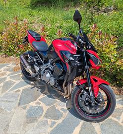Kawasaki Z900 Performance 