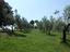 Immagine 15