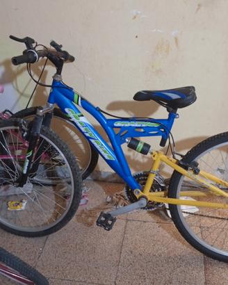 bici 24