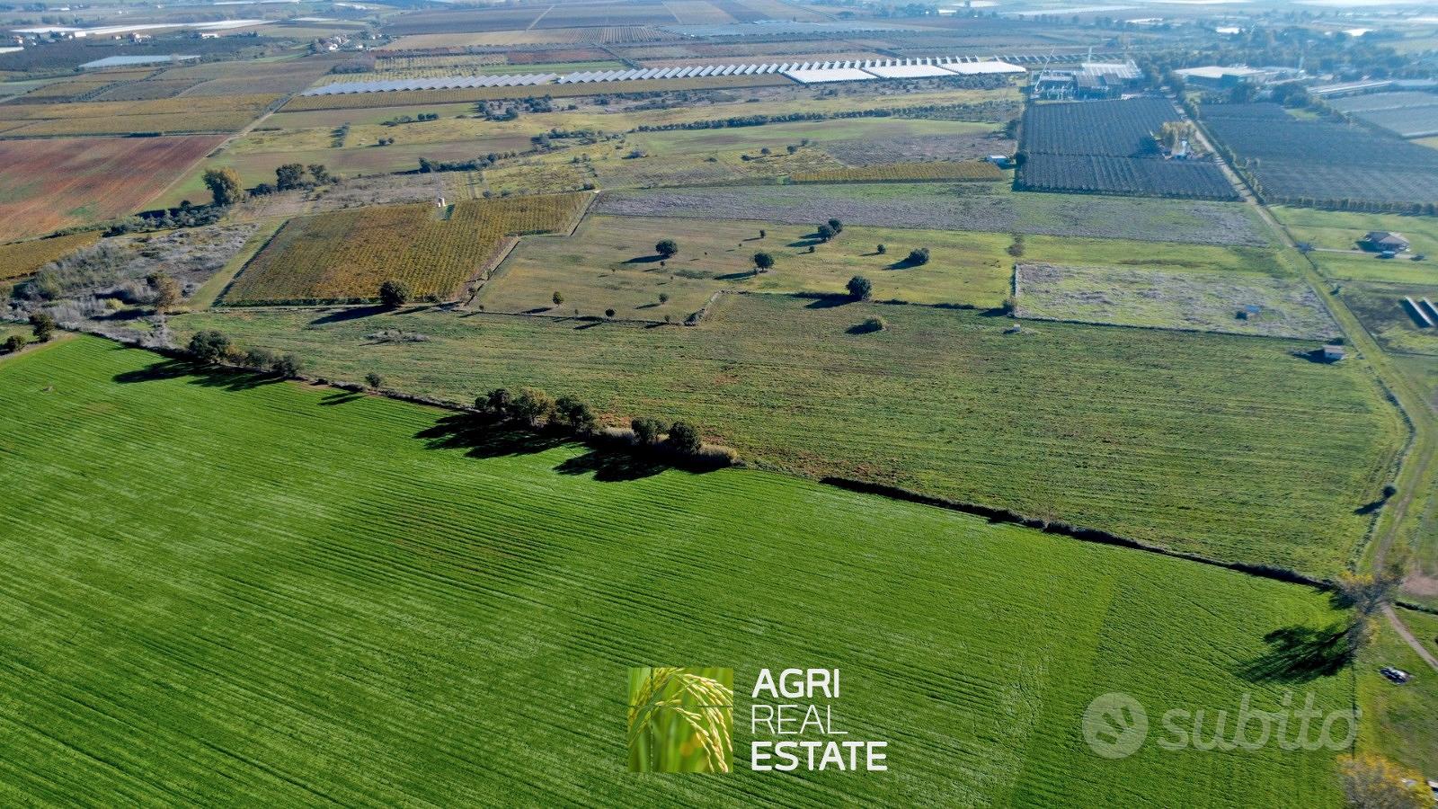 Terreno agricolo 7 HA con pozzo e magazzino - Vista 3