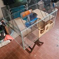 gabbia pet creiceti
