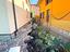 Immagine 28