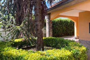 VILLA SINGOLA A PALESTRINA