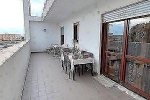 Quadrivani a Francavilla Fontana (BR)