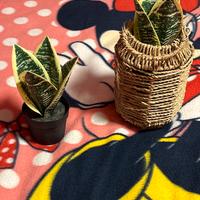 Piantine finte per abbellimento anche in giardino