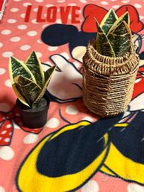 Piantine finte per abbellimento anche in giardino