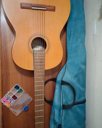 chitarra samick