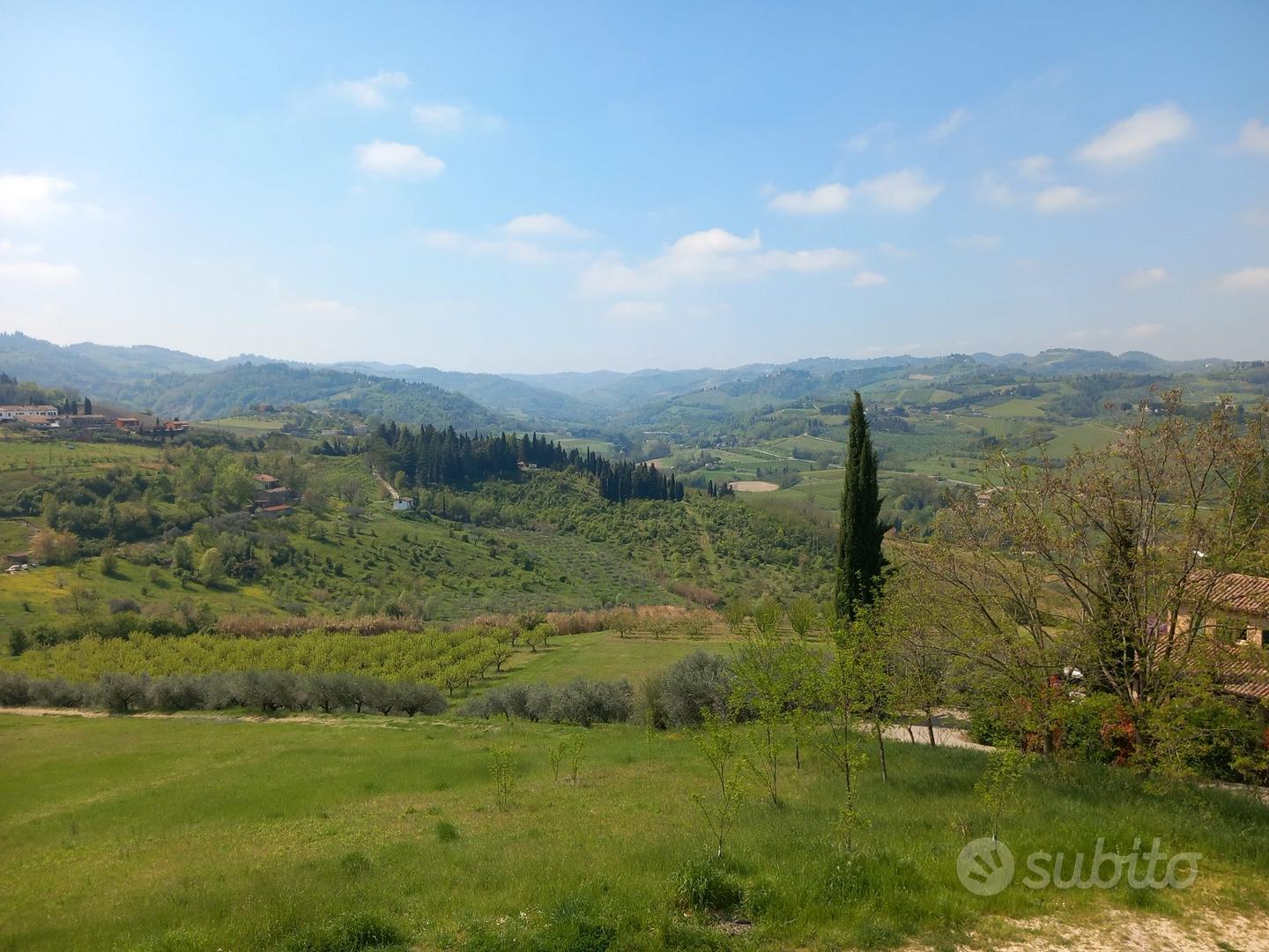 Terreno agricolo Montiano - Vista 5