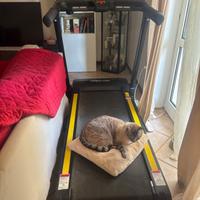 Tapis Roulant pieghevole Buone condizioni