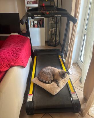 Tapis Roulant pieghevole Buone condizioni