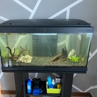 Acquario 100 litri+mobiletto+accessori