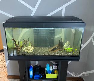 Acquario 100 litri+mobiletto+accessori