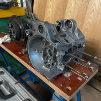 carter minarelli orizzontale