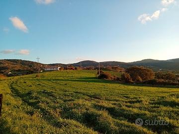 Terreno a Monte Inni- Ozieri