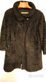 pelliccia di persiano nera corta. 