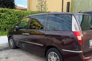 Lancia phedra