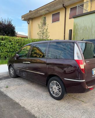 Lancia phedra