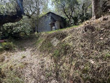 TER. AGRICOLO A SORRENTO