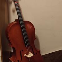 violoncello 