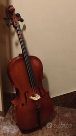 violoncello 