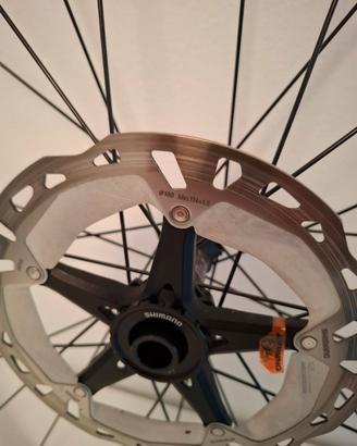 Cerchi mtb 29 DT SWISS 19 (XD) + dischi XT