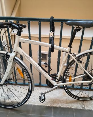 Specialized Sirrus Sport  taglia M  revisionata 26