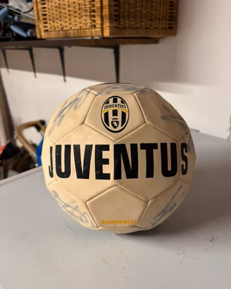 pallone JUVENTUS 2013/14 Autografato