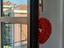 Immagine 19