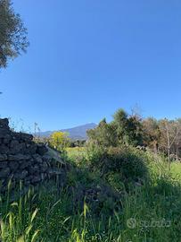 Agricolo a Tremestieri Etneo