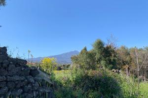 Agricolo a Tremestieri Etneo