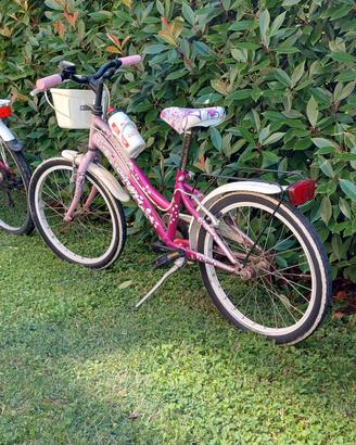 Bicicletta bambina 5/10 anni