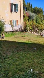 Appartamento - Ascoli Piceno