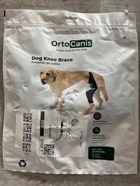 Ginocchiera per cane