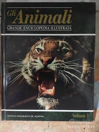 Enciclopedia di 62 volumi GLI ANIMALI De Agostini