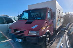 IVECO DAILY 59.12 CON CASSA CONGELATORE