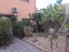 Immagine 12