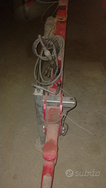 Ranghinatore stellato
