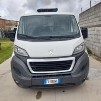Peugeot boxer 2.2 gasolio 120 CV con frigo e atp