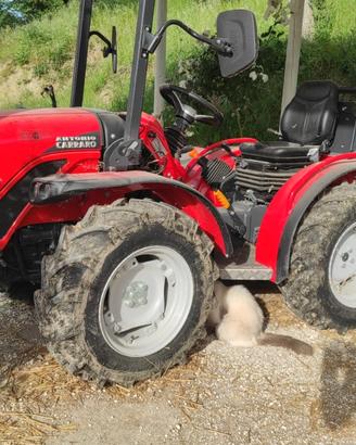 Trattore Antonio Carraro 4000 (2020) + Rimorchio