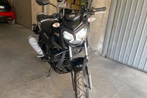 MOTO 125 TVS RIDER